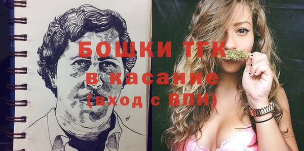 крисы Каменногорск