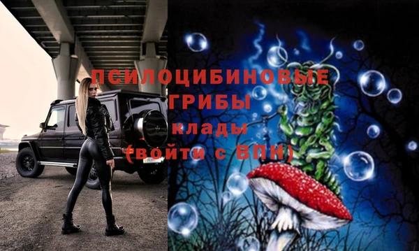 трава Аркадак