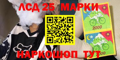 спайс Гагарин