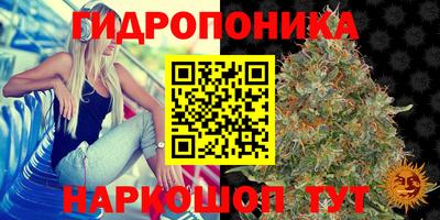 спайс Гагарин