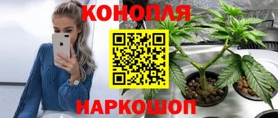 индика Гатчина