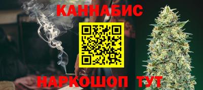 спайс Гагарин