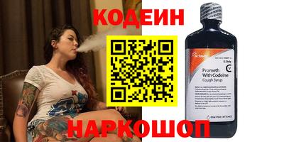 индика Гатчина