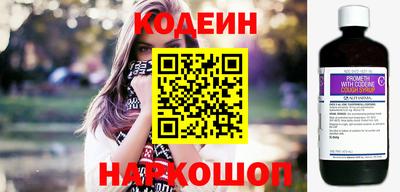 индика Гатчина
