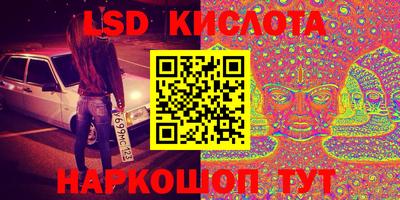 индика Гатчина