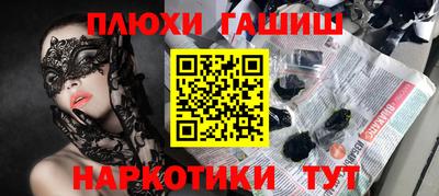 индика Гатчина