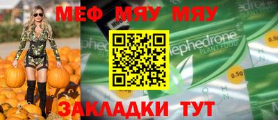 индика Гатчина