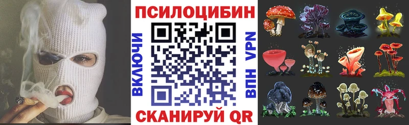 кракен Салават Галлюциногенные грибы GOLDEN TEACHER