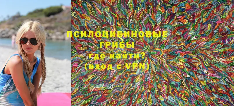 Псилоцибиновые грибы Psilocybine cubensis  Салават 