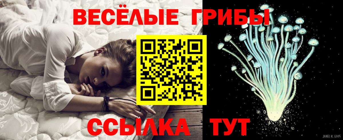 Псилоцибиновые грибы мицелий  Псилоцибиновые грибы Cubensis  Салават  Вход с VPN 